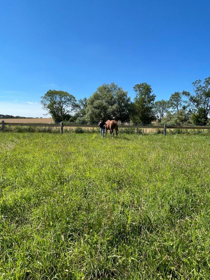 Radlerzimmer Mit Duschbad Und Minikueche In Neu Gaarz, Mitten In Der Natur Exteriör bild