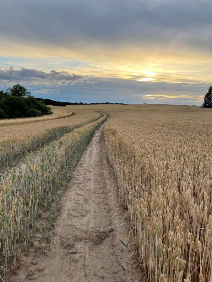 Radlerzimmer Mit Duschbad Und Minikueche In Neu Gaarz, Mitten In Der Natur Exteriör bild